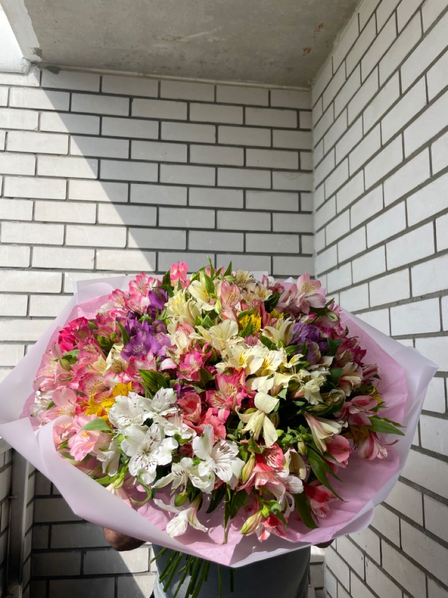 Монобукет ''31 Альстромерия''