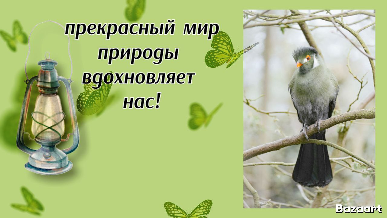 Прозрачный дом в природе.