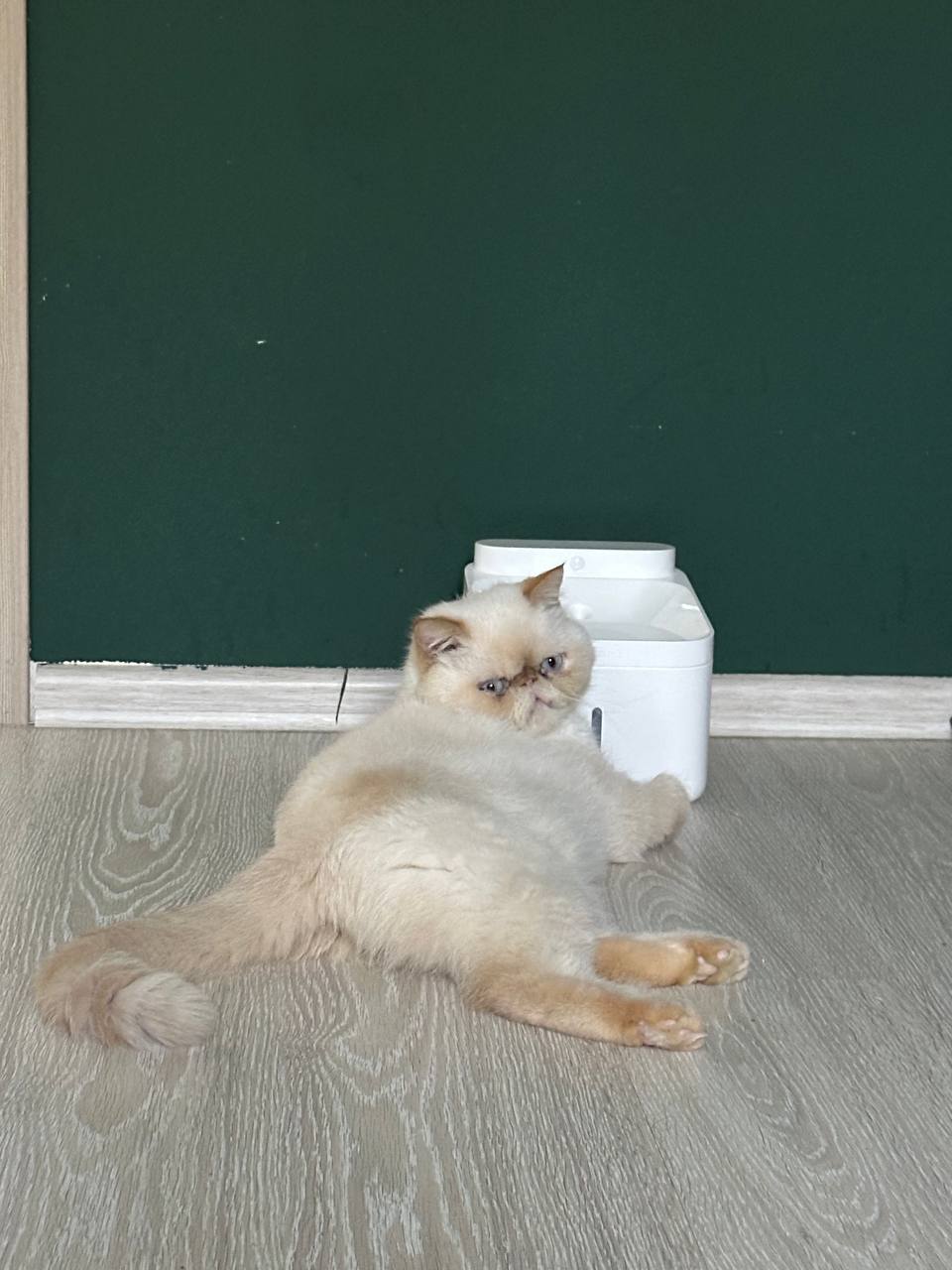 Картина "Вода или вино"