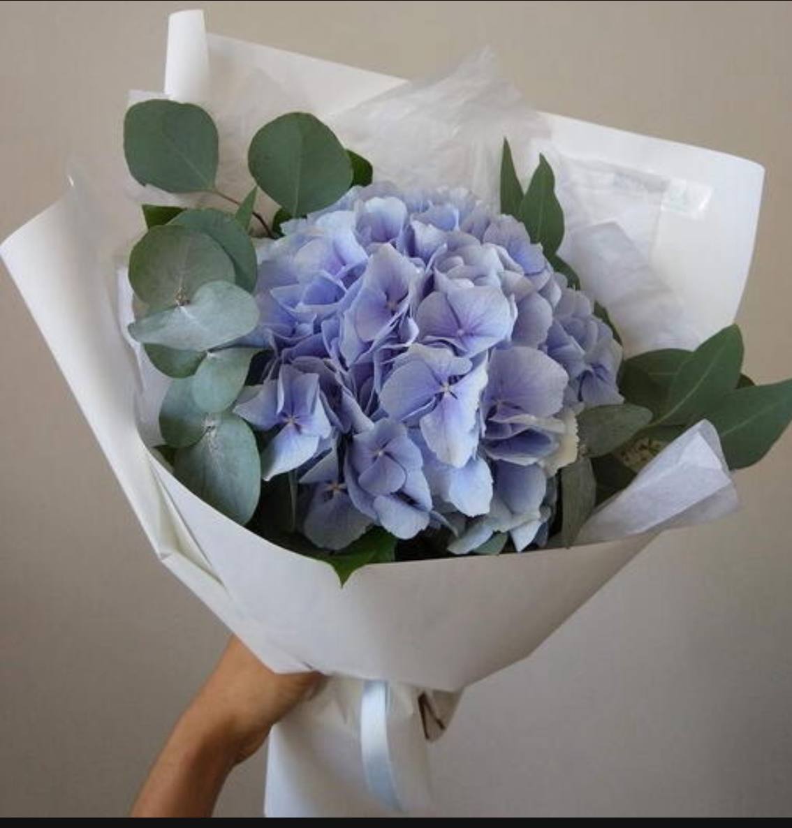 Монобукет ''Гортензия и Эвкалипт''